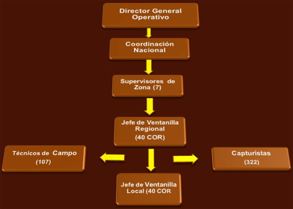 Organigrama SINIIGA